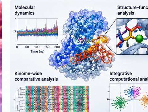 Scientific illustration for structural and computational biology research at The Goyal Lab